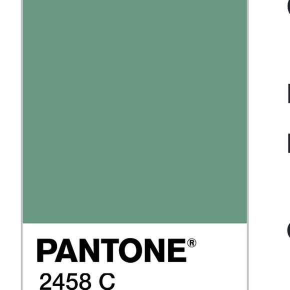 Pussy Bow Muted Forest Green Blouse -Long Sleeves - Picture 3 of 3